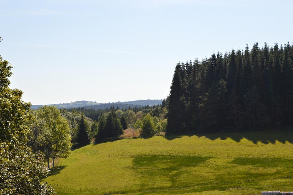 Logis Hotel Le Relais Du Bois Vialotte Le Chambon-sur-Lignon Bagian luar foto